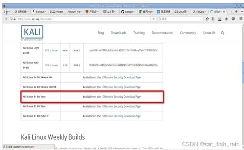 网络攻击与防御 安全渗透测试在软件开发中的关键作用
